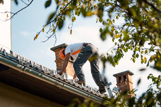 Best New Roof Installation  in Columbia, CA